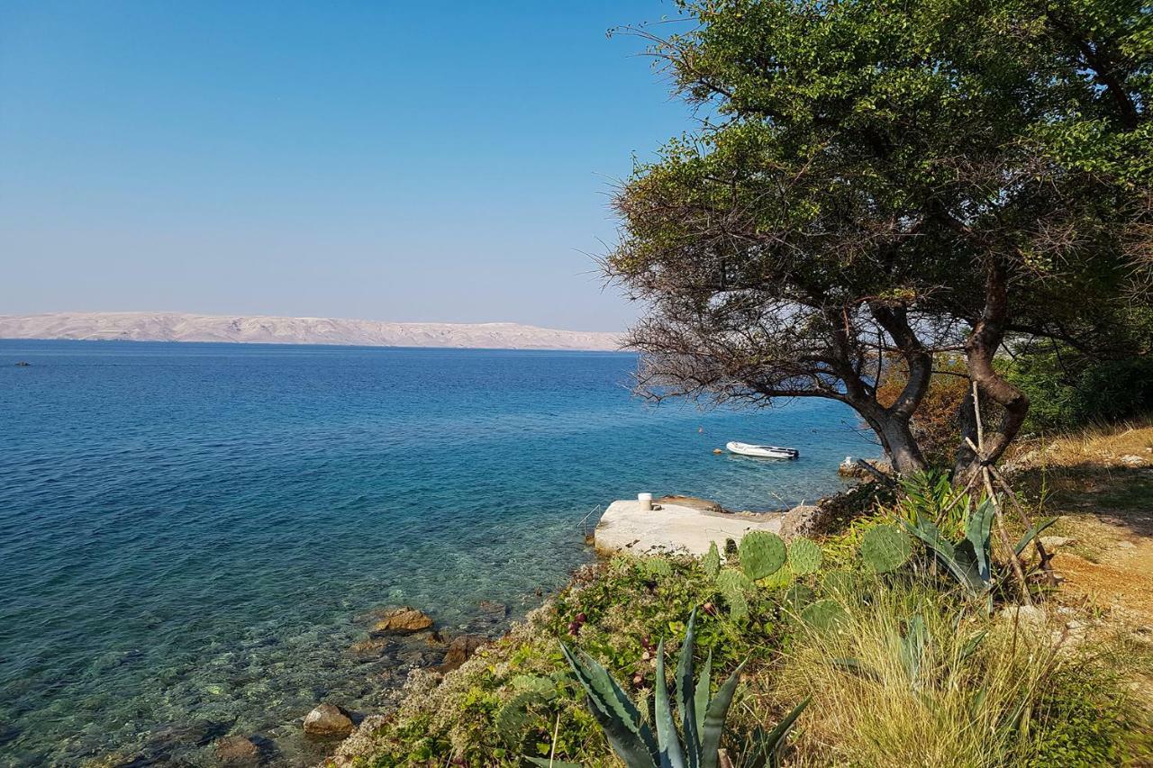 Beachfront House Ivana With Pool - Renovated 2025 Cesarica Buitenkant foto