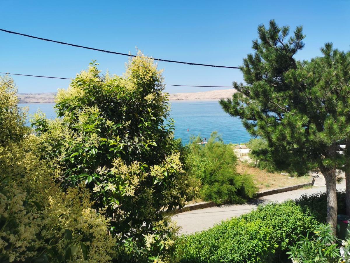 Beachfront House Ivana With Pool - Renovated 2025 Cesarica Buitenkant foto